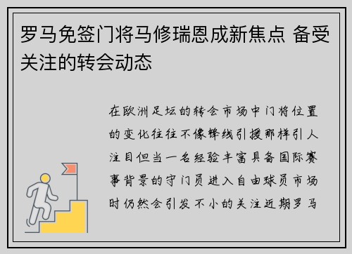 罗马免签门将马修瑞恩成新焦点 备受关注的转会动态